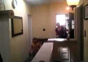 Paper Towel Ambush Surprises Mother Coming Home