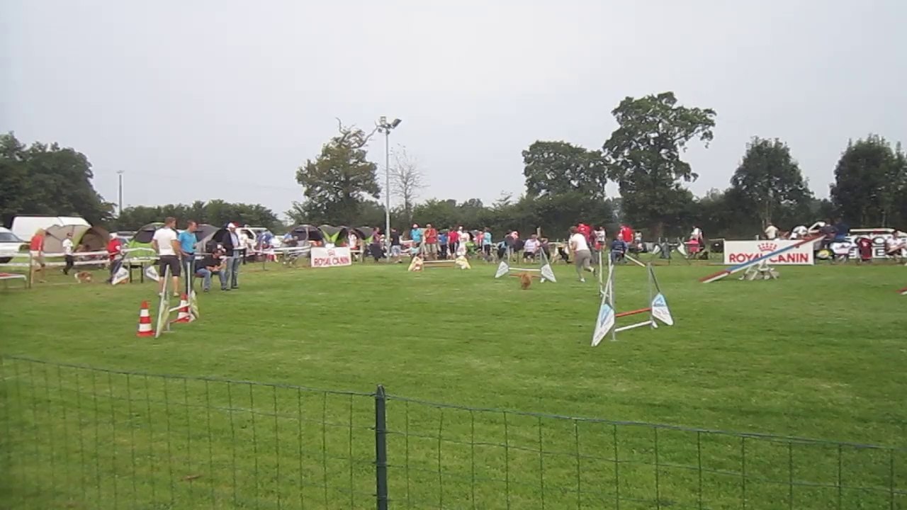 MVI_2929