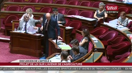 Suite de la 2ème lecture du projet de loi d'avenir pour l'agriculture, l'alimentation et la forêt - En séance