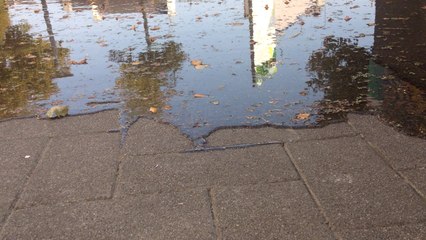 Grandes marées : l'Elorn déborde