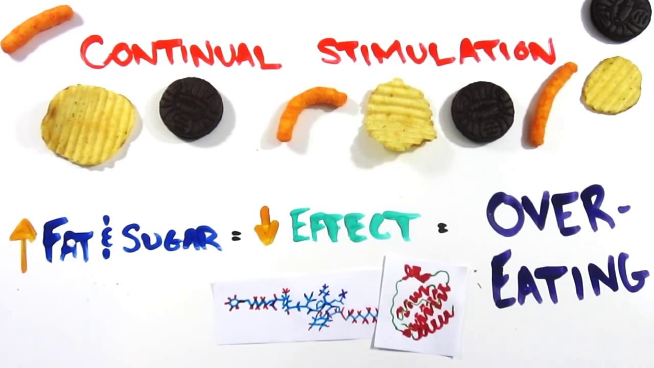 The Science of Appetite - Beating Overeating