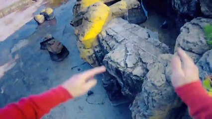 ALPELLA, DIRECTORS CUT, 2009