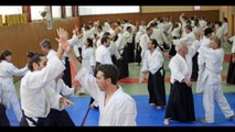 Stage d'Aïkido traditionnel à Bourg en Bresse 2014