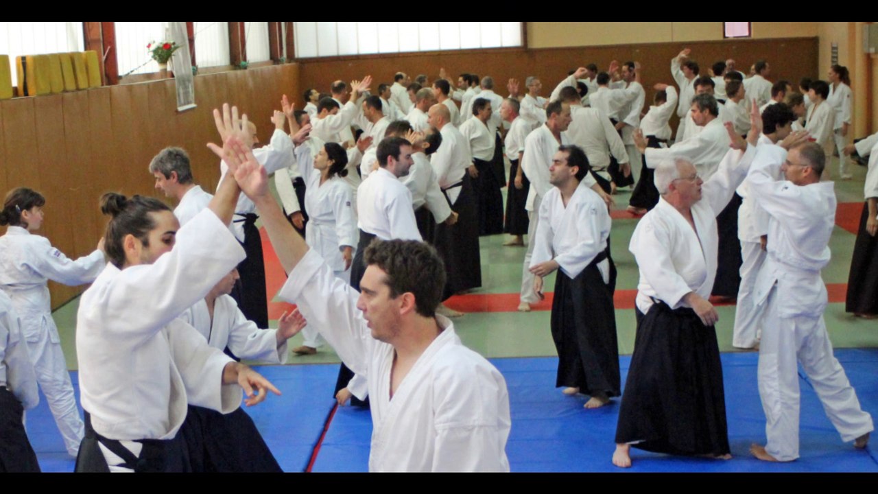 Stage d'Aïkido traditionnel à Bourg en Bresse 2014