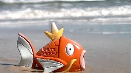 How To Keep A Pet Pokemon Magikarp In Real Life!