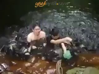 Balıklarla Bir araya Gelmek