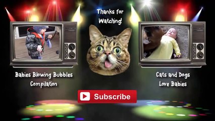 Funny Babies Talking on the Phone Compilation 2014 [NEW HD]