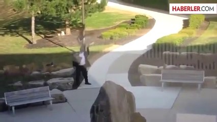 Kaz ile Kavga Eden Adam