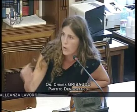 Roma - Audizione Alleanza lavoro (10.09.14)