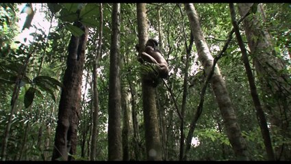 The Salt of the Earth / Le Sel de la terre (2014) - Trailer English version