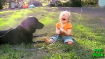 Watch Babies Laughing Hysterically at Dogs Compilation 2013 - Funny dogs videos