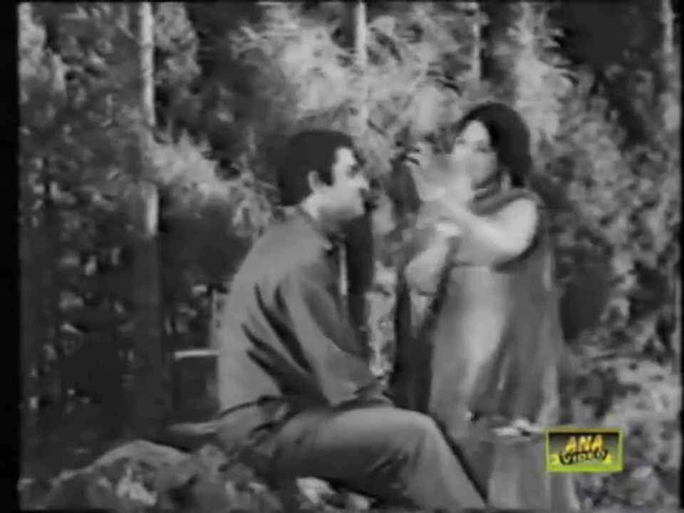 IRENE PARVEEN - TUMHI HO MEHBOOB MERE - AAINA(Risingformuli)