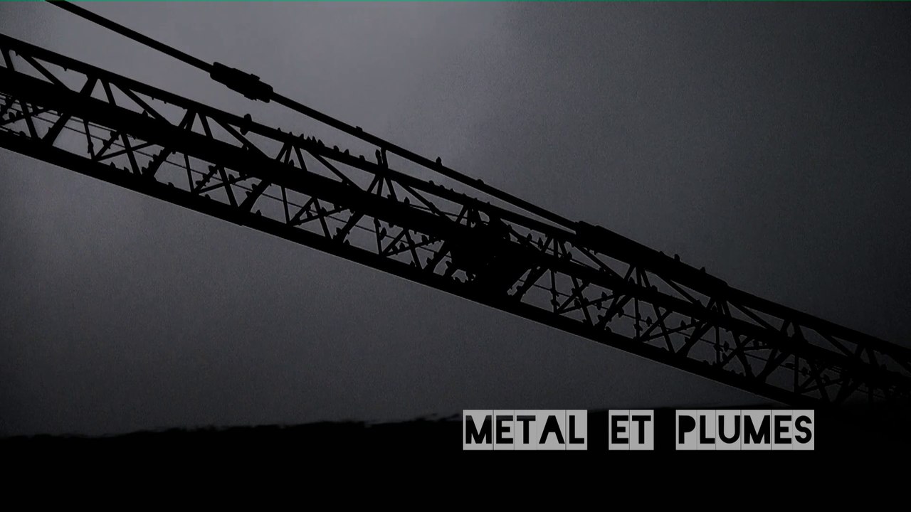 Metal et Plume