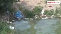 Seyhan Nehri'nde Çok Sayıda Balık Öldü