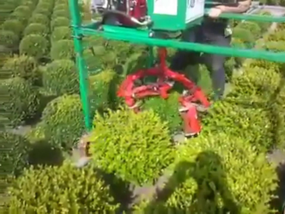 Auto-Cut Machine