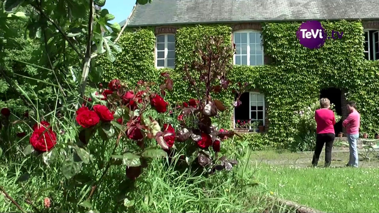 CERFRANCE Manche -  buroenligne [TéVi PRO] juin 2014