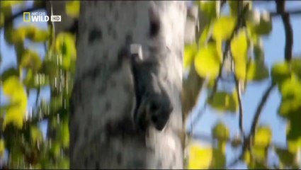 فيلم #وثائقي براري شمال أوروبا _ عند الحافة _ HD