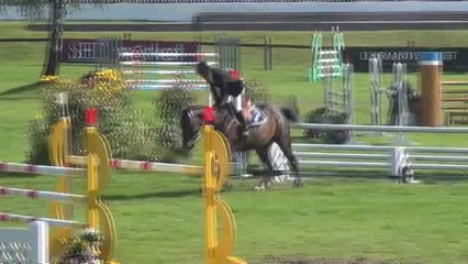 Un Diamant d'Azif / David Jobertie : 2 ème épreuve finale 6 ans Fontainebleau