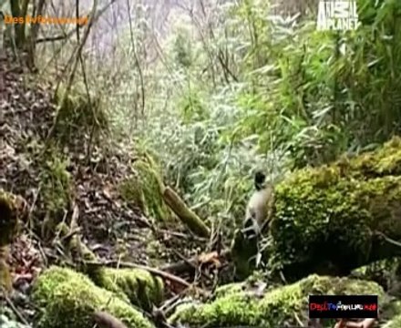 Fooled By Nature 11th September 2014 Video Watch Online Pt1