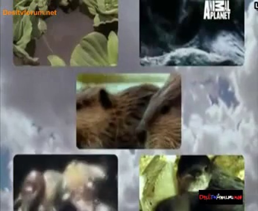 Fooled By Nature 11th September 2014 Video Watch Online Pt2
