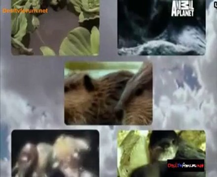 Fooled By Nature 11th September 2014 Video Watch Online Pt2