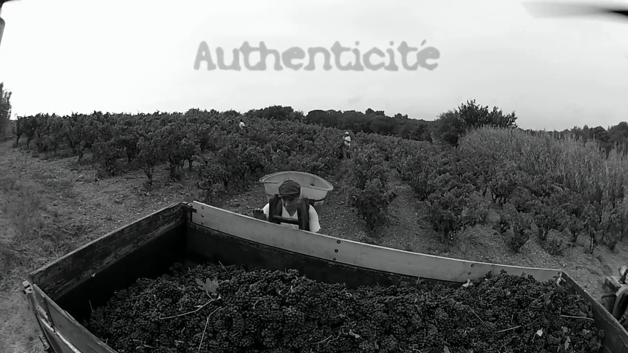Vendanges CCBO 2014