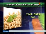 Invertirá Bolivia 240 millones USD en la agricultura tradicional