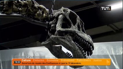 Un dinosaure de 14 mètres au musée des Confluences