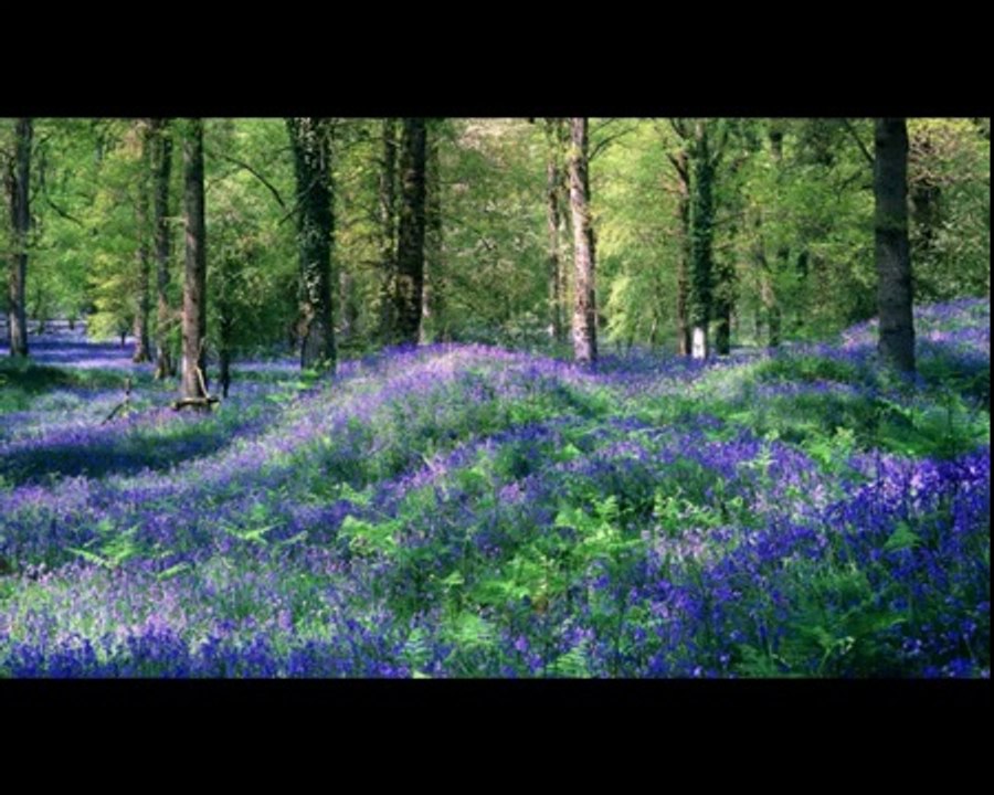 Demain (oud95)