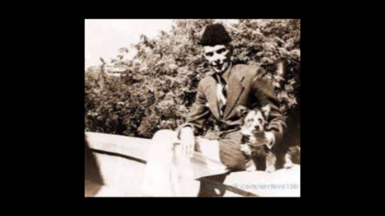 Khawaja Saad Rigger and dogs