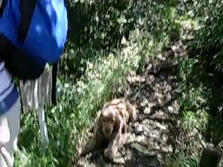 ラムと父と登山