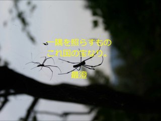 長谷川桜子（慣らし保育アドバイザー）～子どもに読み聞かせたい言葉「最澄」