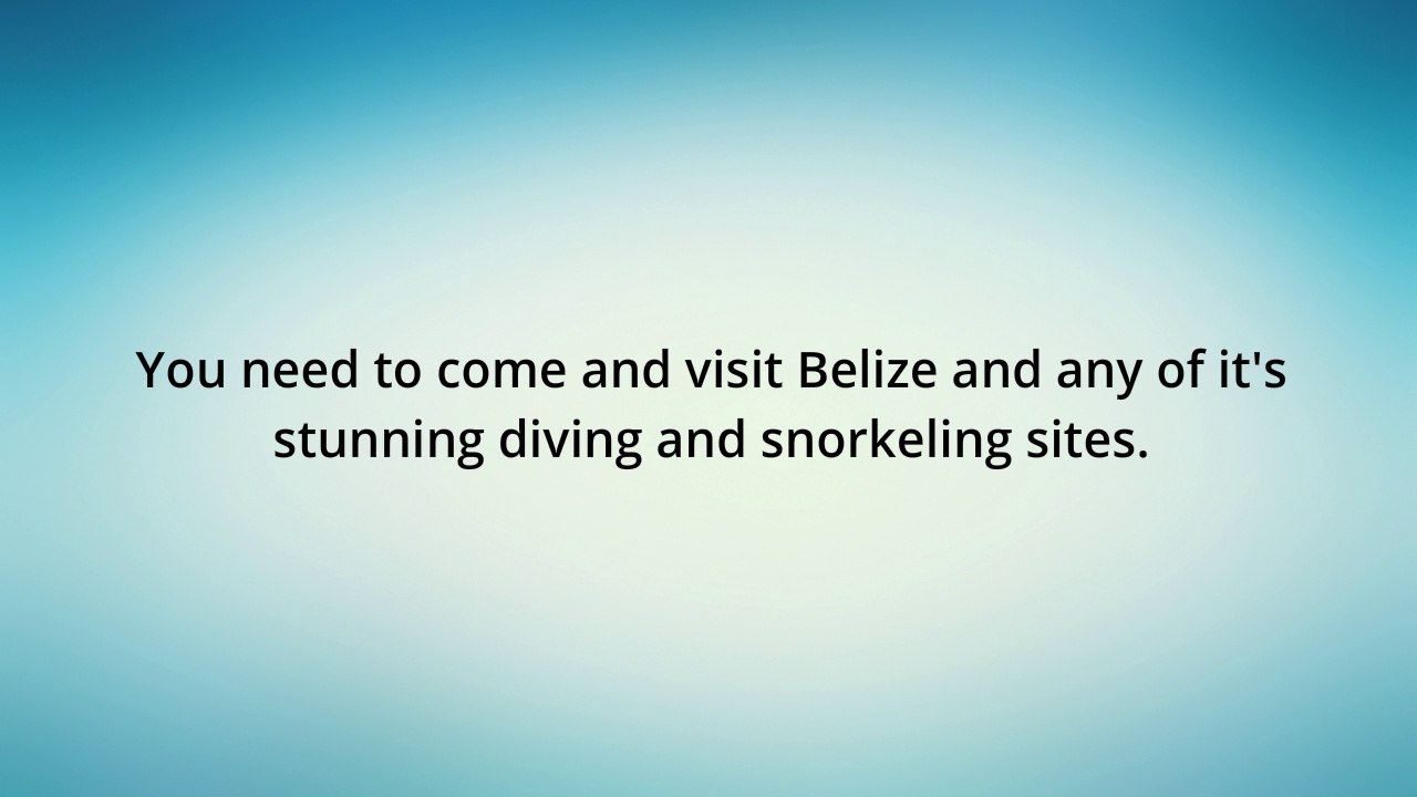 Top 5 Scuba Diving Sites in Belize You Cannot Miss