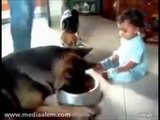 Bebek ile köpeğin inatlaşması