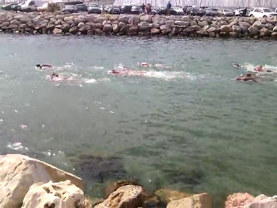 Palavas à la nage 2014