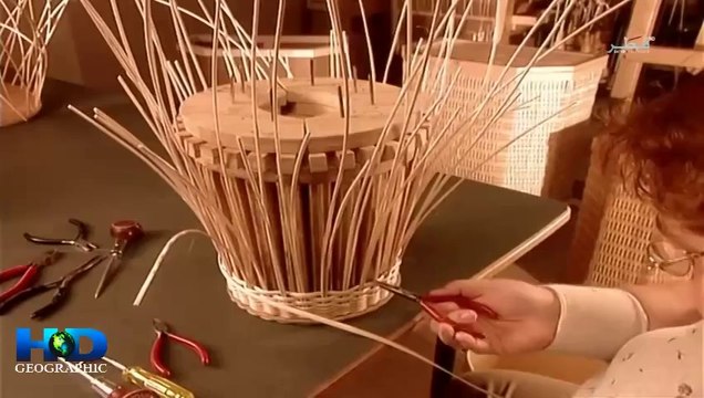 وثائقي كيف تصنع نباتات الأماليد