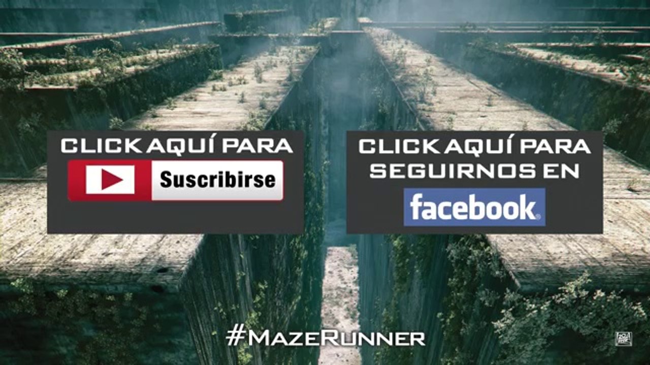 MAZE RUNNER Correr o Morir ver online