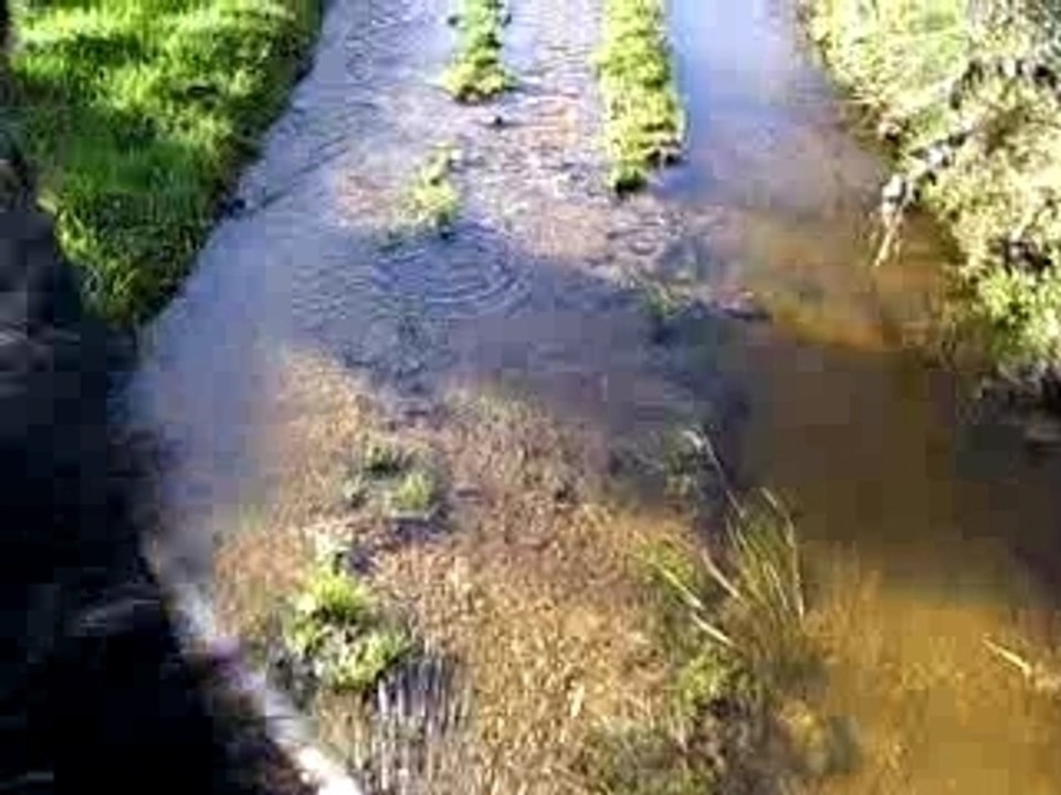 Balade dans les chemins humides!!