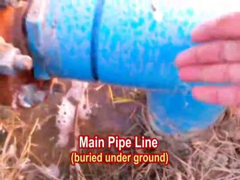 Drip Irrigation System for Orchard-OFWM-Punjab Agriculture Department-Pakistan