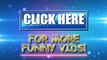 Very Funny Animals Videos ツ Funny Cats ツ Funny Dogs ► Hilarious Compilation