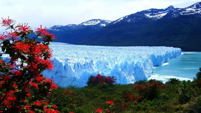 ARGENTINA - glaciar Perito Moreno (PP)