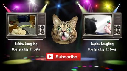Best Funny Video New Compilation 2014 Animals, Babies, Accidents, Fails, Russia, Stupid, People, V(3)