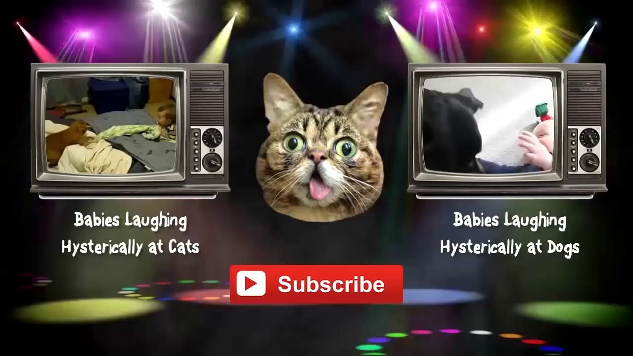 Best Funny Video New Compilation 2014 Animals, Babies, Accidents, Fails, Russia, Stupid, People, V(3)