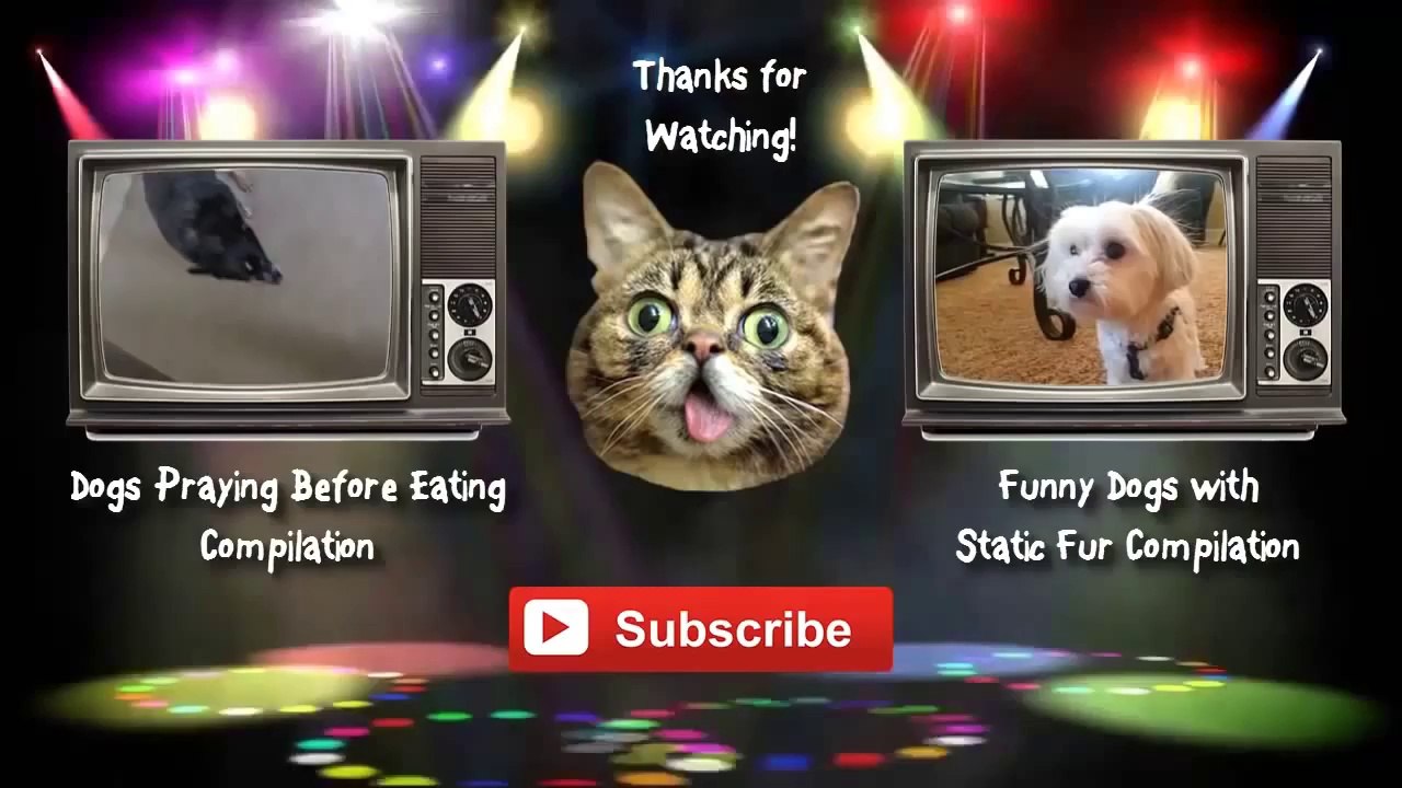 Best Funny Video New Compilation 2014 Animals, Babies, Accidents, Fails, Russia, Stupid, People, V(6)