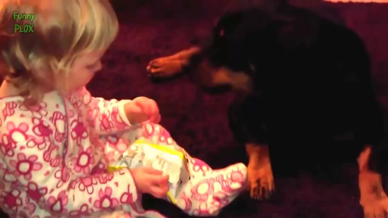 Best Funny Video New Compilation 2014 Animals, Babies, Accidents, Fails, Russia, Stupid, People, V(7)