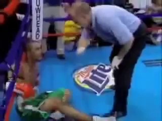 funny animals and people Funny Stupid People! Funny Animal Videos Collected by Rashid Siddiqi