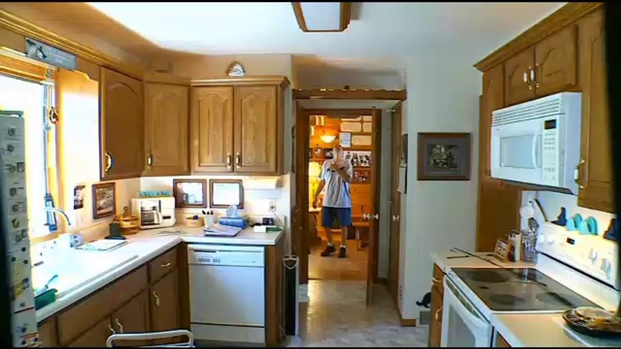 Un homme transforme sa maison en un paradis pour chats