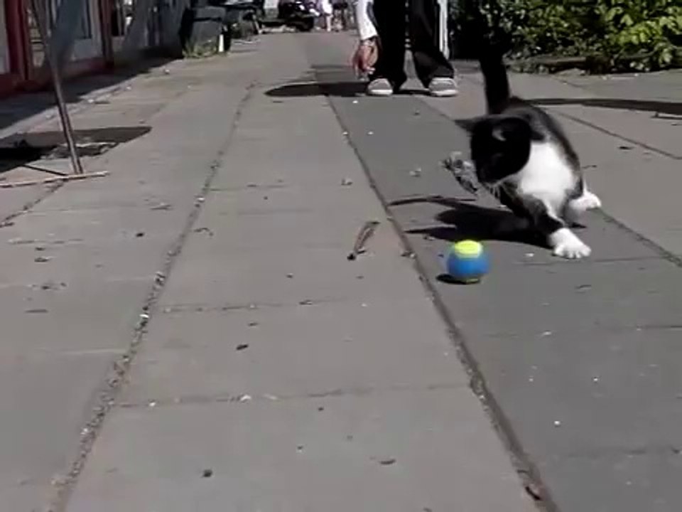 For Funny Fail Compilation 2013 FAIL accident 2013 [HD+] [18+] ПРИКОЛЫ 2013 FUNNY VIDEO 2013