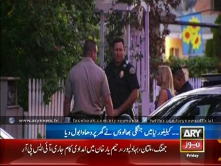 The Love Of Panda For His Owner