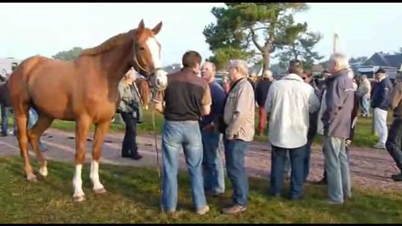 foire de lessay 2014